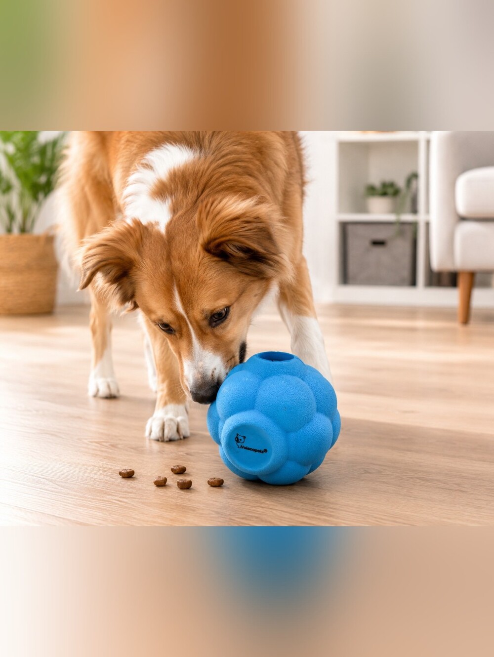Volacopets Interactive Dog Treat Ball Puzzle‎ Toy Blue 3" Slow Feeder Enrichment